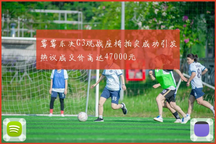 霉霉东决G3观战座椅拍卖成功引发热议成交价高达47000元